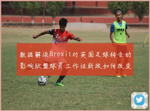 数据解读Brexit对英国足球转会的影响欧盟球员工作证新政如何改变联赛格局与球队竞争力
