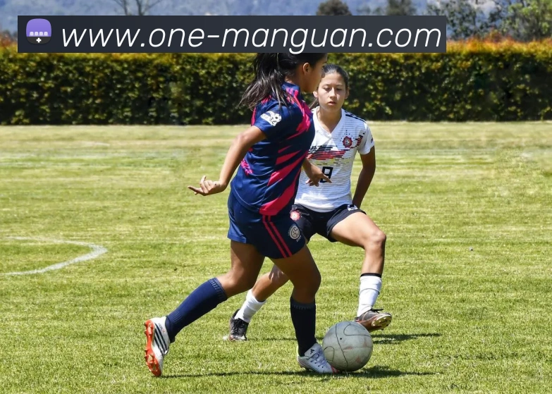 满冠体育平台生态图